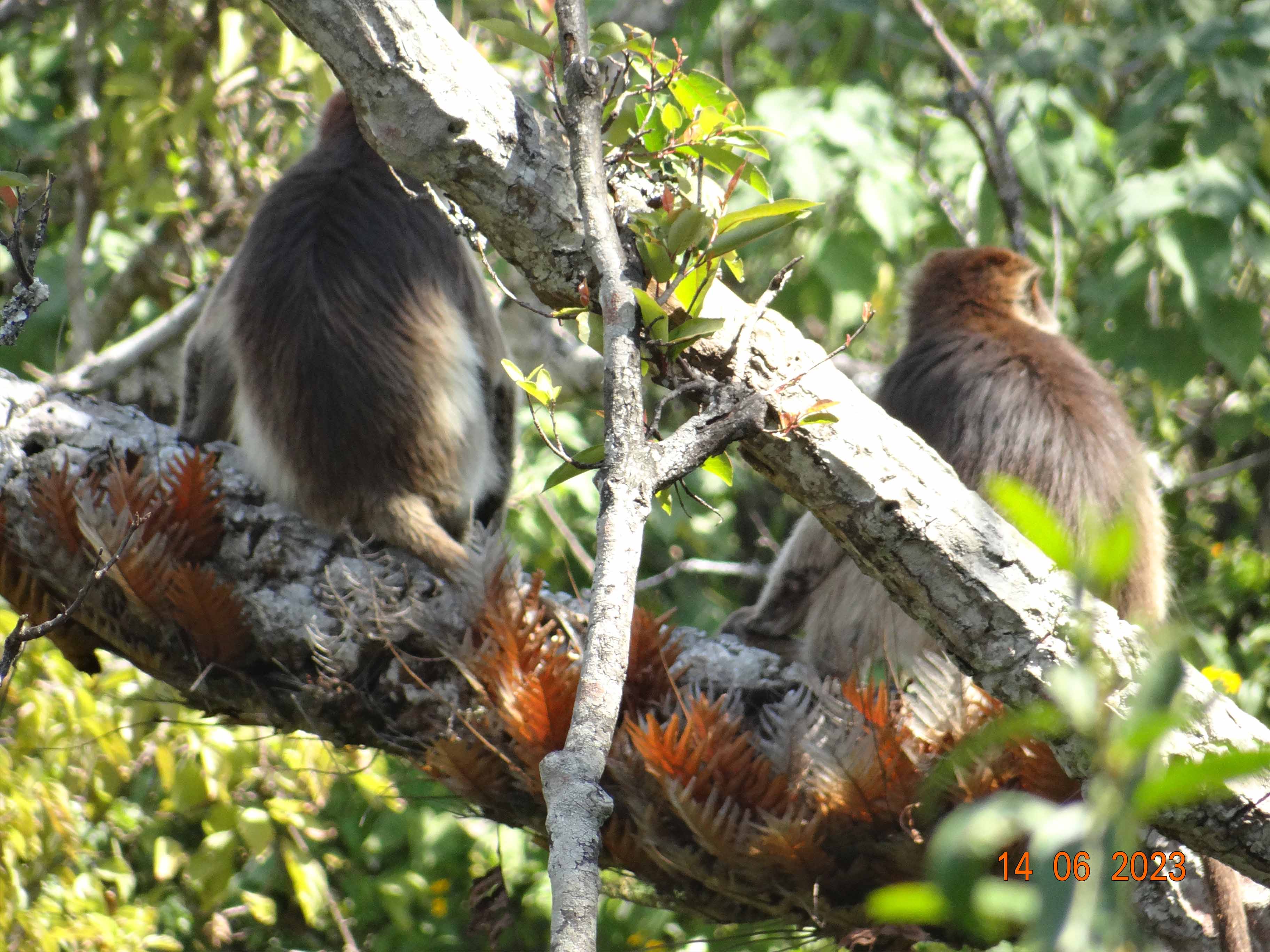 Biodiversity Assessment